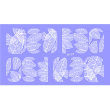 ar37